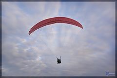 photo "Free like a bird"