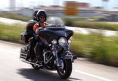 фото "Easy riders"