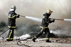 фото "In action"