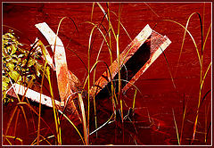photo "Not begun to live wounds of war"