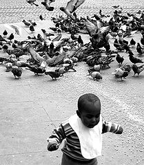 photo "HELP"