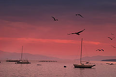 фото "Santo Antonio de Lisboa"
