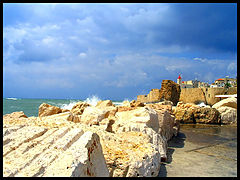 photo "Akko"