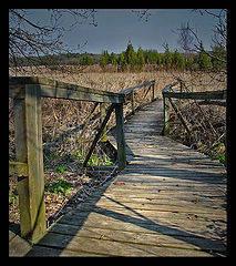 photo "Bog"