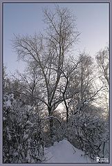 photo "winter idyl"