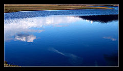 фото "looking down to the sky"