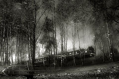 фото "меланхолия"