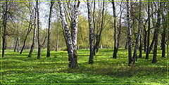 фото "Весна"