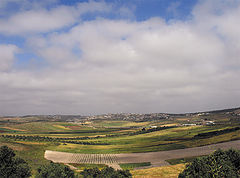 фото "Israel"