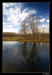 photo "Dark blue April."