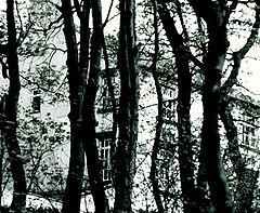 фото "Blair Witch."