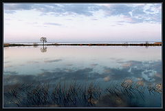 фото "на озере"
