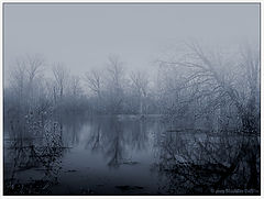 photo "In english style..."