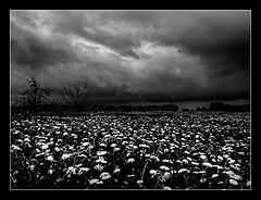 фото "The loss of soul"