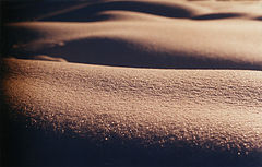 photo "erotic"
