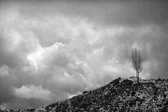 photo "Hundred years of loneliness"
