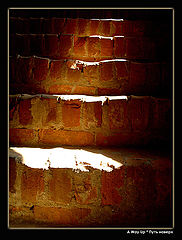 photo "A Way Up"