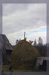 фото "Наблюдатели  :))"