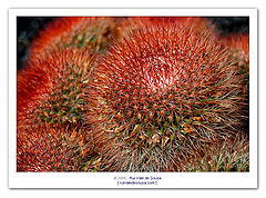 фото "textures"