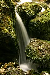 photo "Wonderfull Nature"