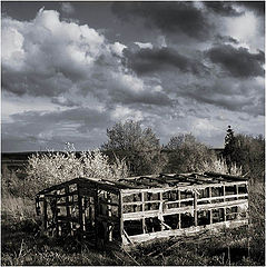 photo "***"