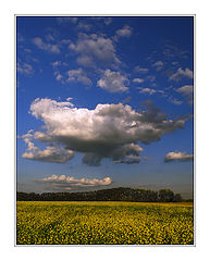 фото "Sky flight"