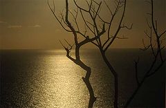 photo "Canuan sunset"