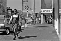 фото "Anatomie"