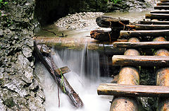 фото "Untitled photo"