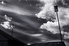 фото "8"