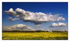 фото "Sky captains"