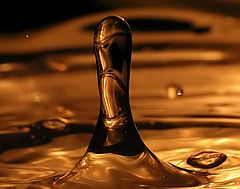 photo "Water Samurai"