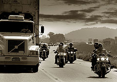 фото "Steel horsemen"