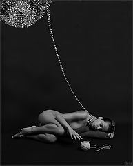 photo "The ball plays a cat"