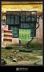 фото "..."