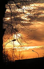 photo "new Day"