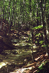 photo "Untitled photo"