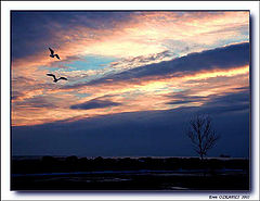 photo "Colors of Evening IV"