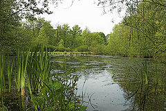 photo "Evening tranquillity"