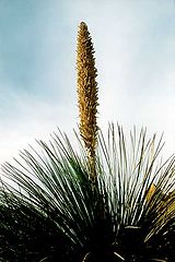 photo "the Ful of Energy"