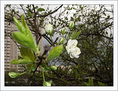 photo "Untitled photo"