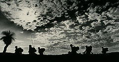 photo "Manaeuvers Down Under"