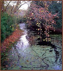 фото "autumn at the stream..."