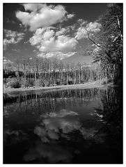 фото "***"