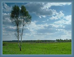 photo "***"