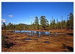 photo "Mountain mood in the spring"