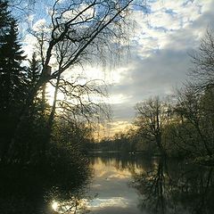 photo "May sight against the sun"