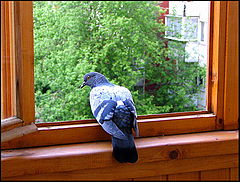 photo "I shall sit on a balcony, I shall have a rest a li"