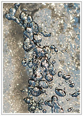 photo "Water"