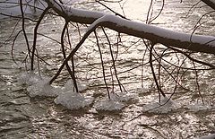 фото "В брод по воде"